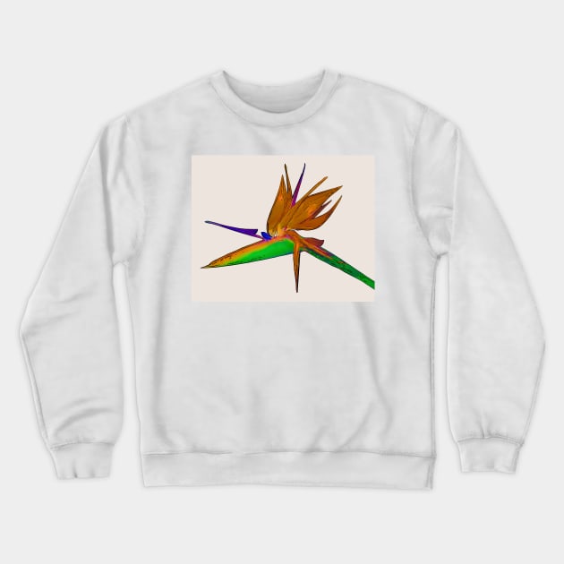 Tropical Bird Of Paradise Watercolor Crewneck Sweatshirt by KirtTisdale